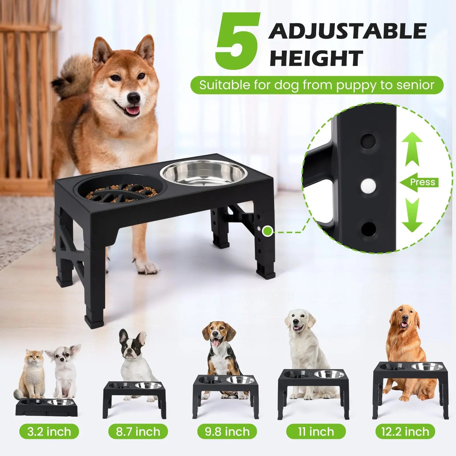 Adjustable Elevated Dog Bowls | Raised Feeder with Stainless Steel Bowls | Bark & Whiskers