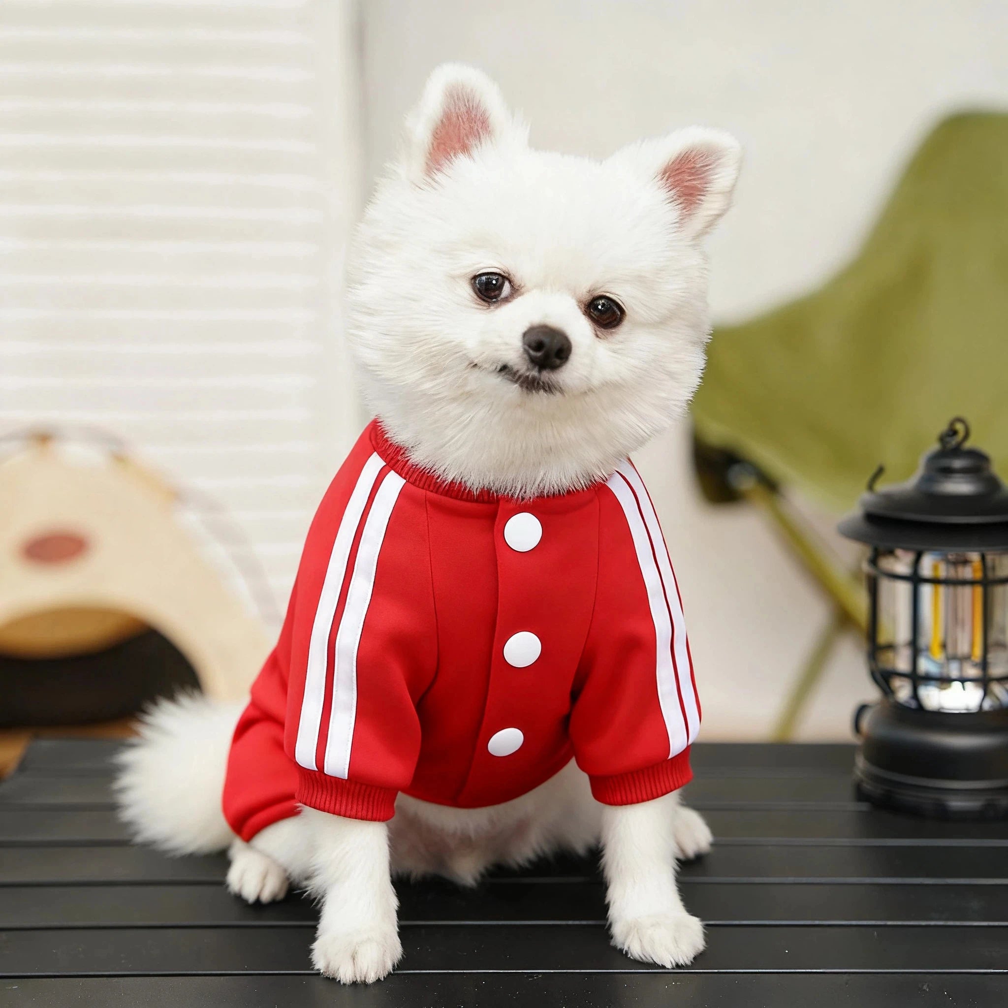 Dog Winter Jumpsuit Warm Fleece Hoodie Outfit for Small Medium Dogs Puppy Clothes