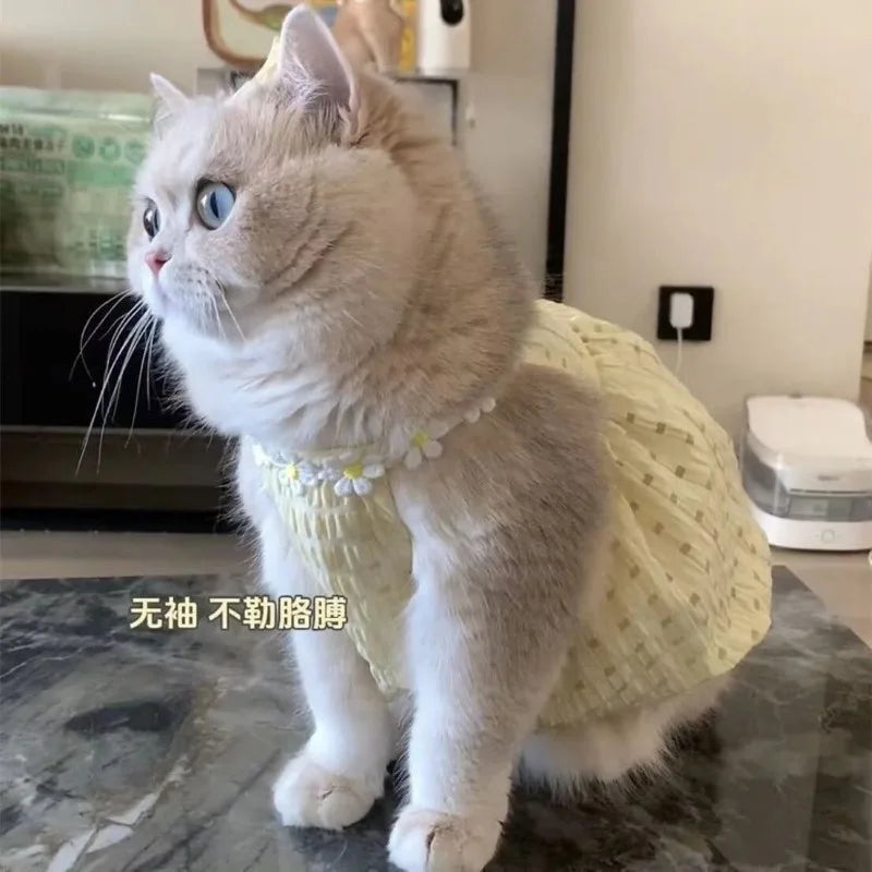 Cute Plaid Pet Summer Vest Breathable Outfit for Cats and Small Dogs Stylish Instagram Look