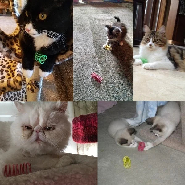 Cat Spring Toy Set | Interactive Bouncy Coil Toys for Cats