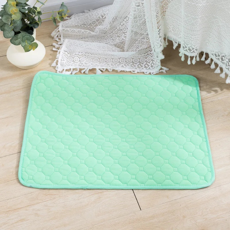 Reusable Dog Pee Pad | Waterproof Absorbent Training Mat