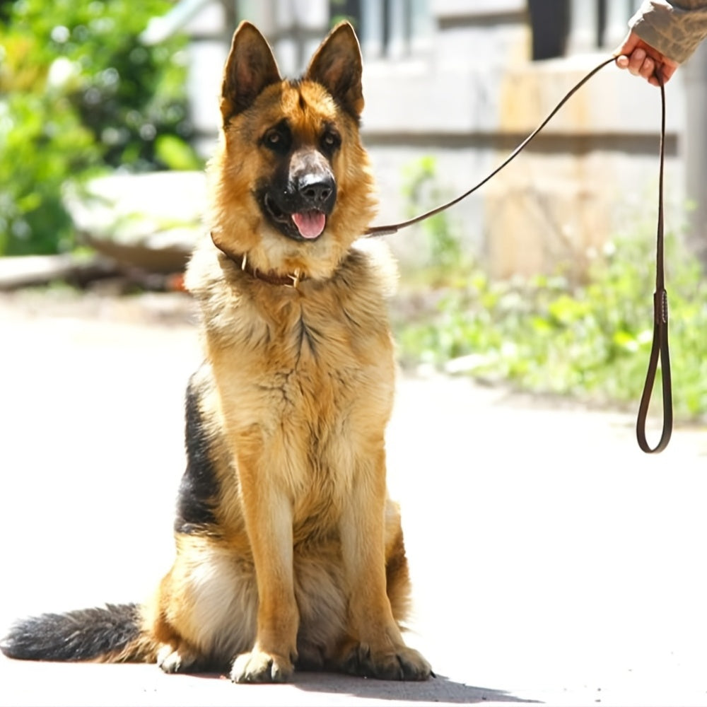 Premium Leather Dog Collar – Durable, Comfortable & Stylish for Everyday Use